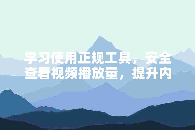 学习使用正规工具，安全查看视频播放量，提升内容影响力。