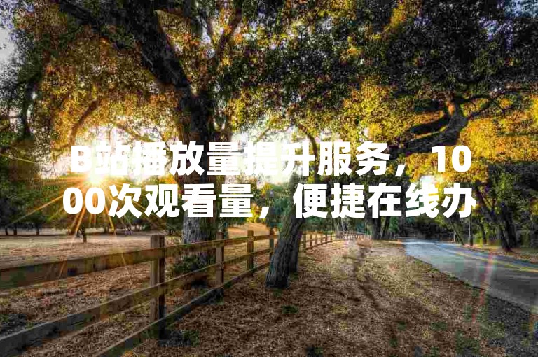 B站播放量提升服务，1000次观看量，便捷在线办理。