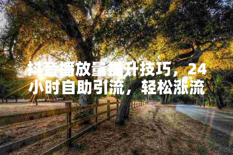 抖音播放量提升技巧，24小时自助引流，轻松涨流量！
