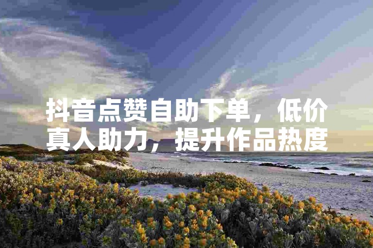 抖音点赞自助下单，低价真人助力，提升作品热度！