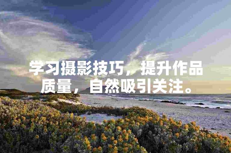 学习摄影技巧，提升作品质量，自然吸引关注。