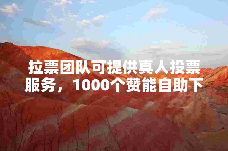 拉票团队可提供真人投票服务，1000个赞能自助下单操作。