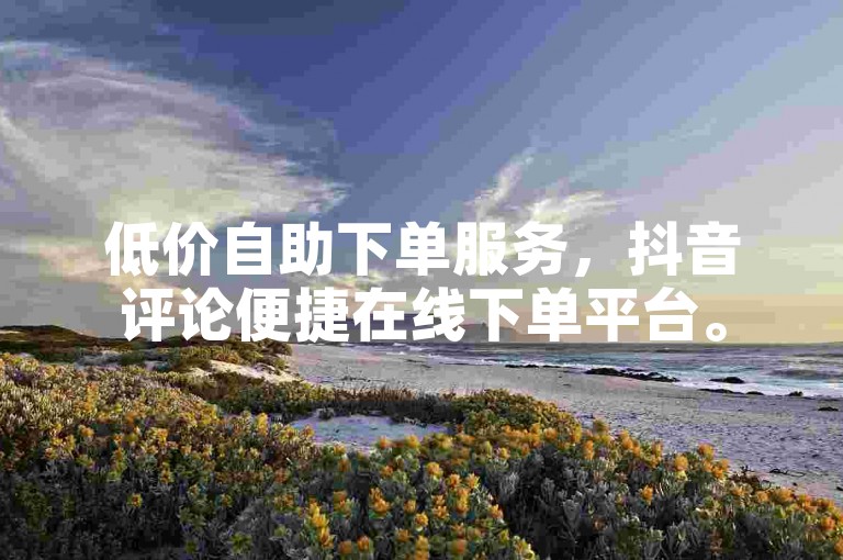 低价自助下单服务，抖音评论便捷在线下单平台。