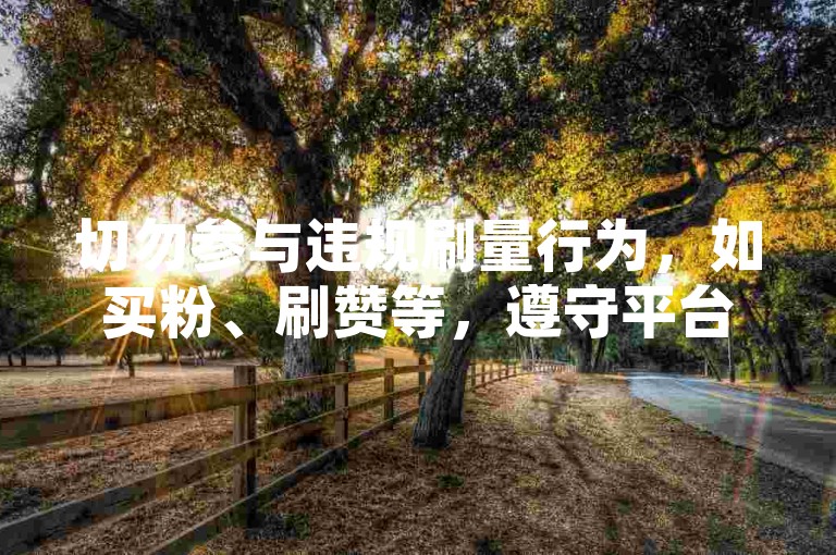切勿参与违规刷量行为，如买粉、刷赞等，遵守平台规则。