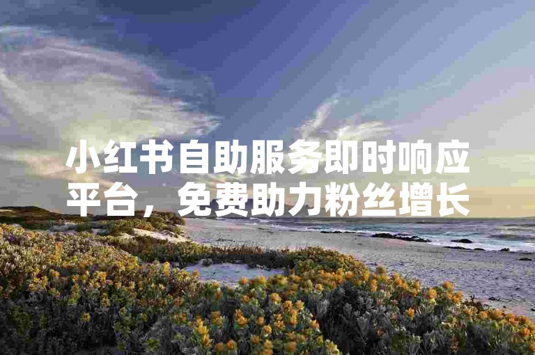 小红书自助服务即时响应平台，免费助力粉丝增长工具。
