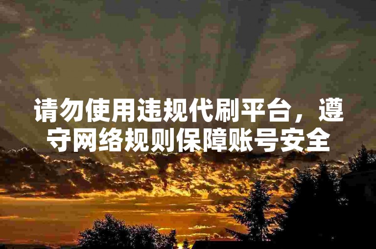 请勿使用违规代刷平台，遵守网络规则保障账号安全。
