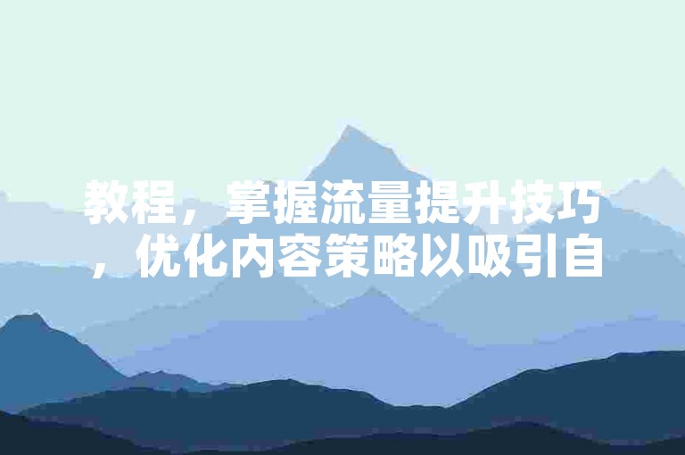 教程，掌握流量提升技巧，优化内容策略以吸引自然关注。