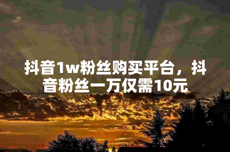 抖音1w粉丝购买平台，抖音粉丝一万仅需10元