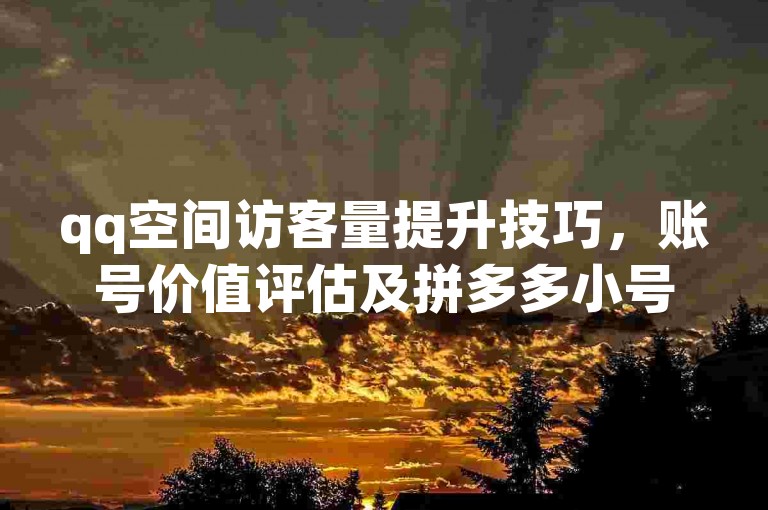 qq空间访客量提升技巧，账号价值评估及拼多多小号购买指南 - 紫冰卡盟