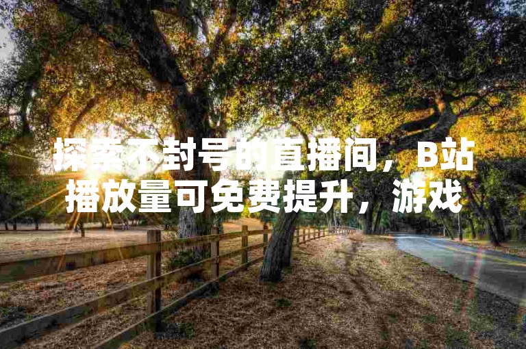 探索不封号的直播间，B站播放量可免费提升，游戏卡盟助你一臂之力。