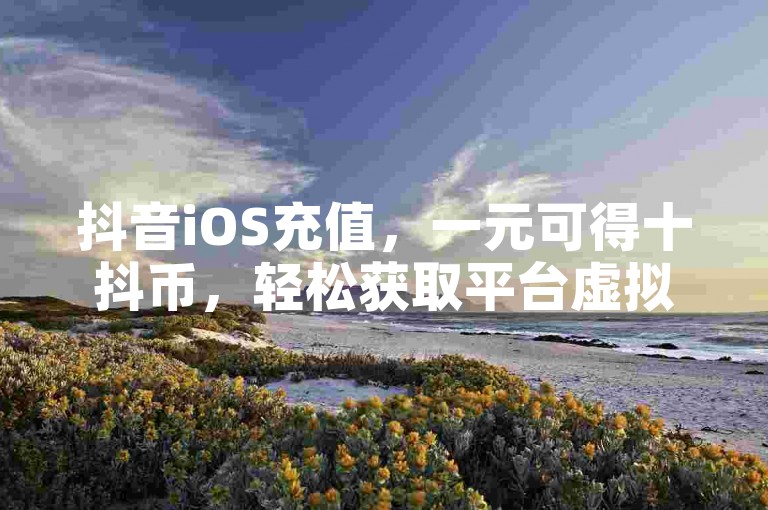 抖音iOS充值，一元可得十抖币，轻松获取平台虚拟货币。