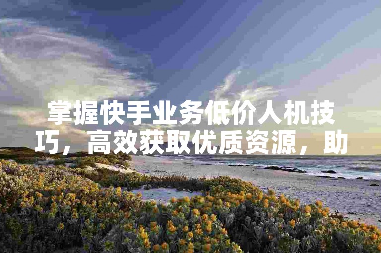 掌握快手业务低价人机技巧，高效获取优质资源，助力新人快速成长！