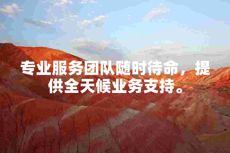 专业服务团队随时待命，提供全天候业务支持。