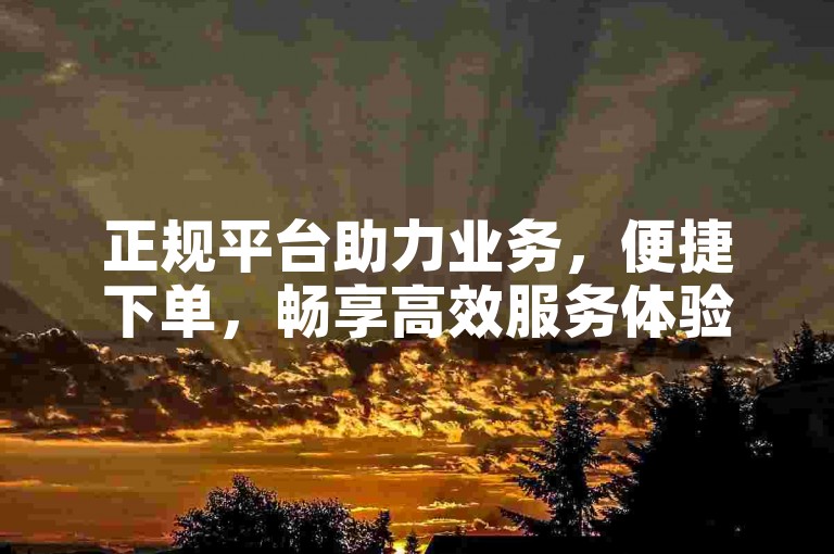 正规平台助力业务，便捷下单，畅享高效服务体验。