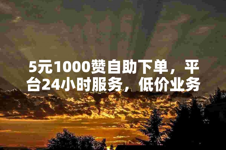 5元1000赞自助下单，平台24小时服务，低价业务轻松享。