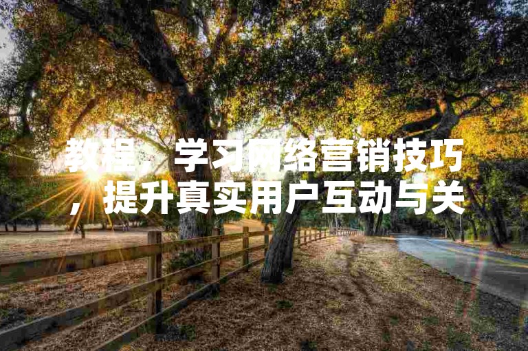 教程，学习网络营销技巧，提升真实用户互动与关注度。