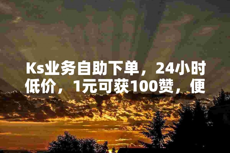 Ks业务自助下单，24小时低价，1元可获100赞，便捷平台助力快手。