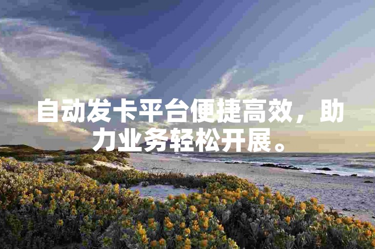 自动发卡平台便捷高效，助力业务轻松开展。