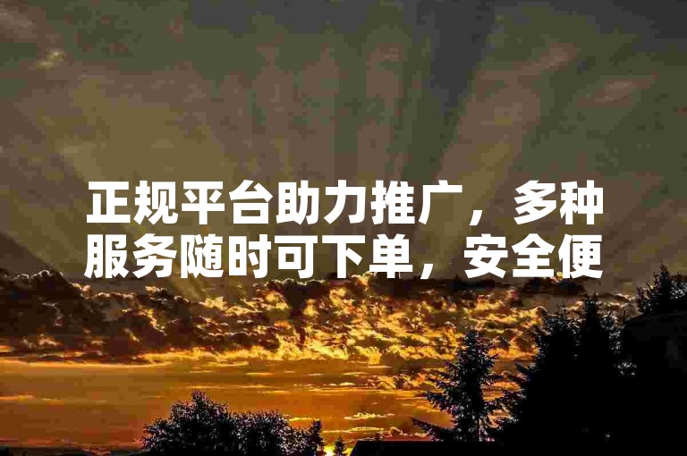 正规平台助力推广，多种服务随时可下单，安全便捷。