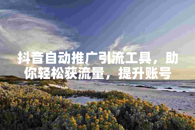 抖音自动推广引流工具，助你轻松获流量，提升账号影响力。