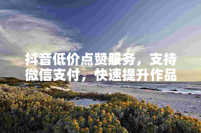 抖音低价点赞服务，支持微信支付，快速提升作品热度。
