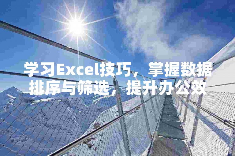 学习Excel技巧，掌握数据排序与筛选，提升办公效率。