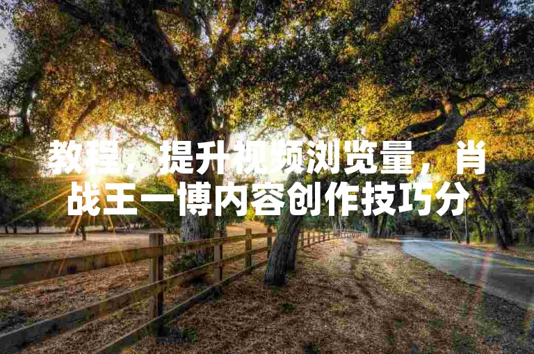 教程，提升视频浏览量，肖战王一博内容创作技巧分享。