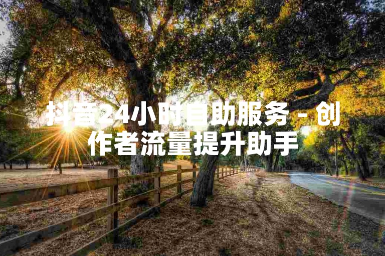 抖音24小时自助服务 - 创作者流量提升助手
