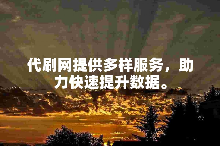 代刷网提供多样服务，助力快速提升数据。