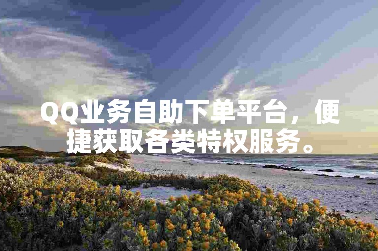 QQ业务自助下单平台，便捷获取各类特权服务。