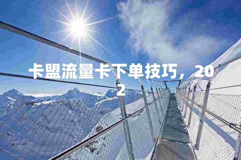 卡盟流量卡下单技巧，2025最新攻略，助你轻松上手！