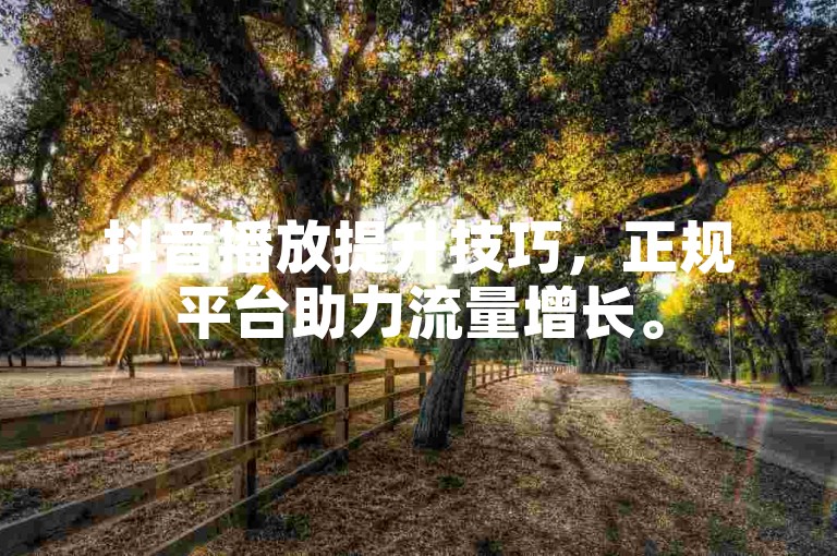 抖音播放提升技巧，正规平台助力流量增长。