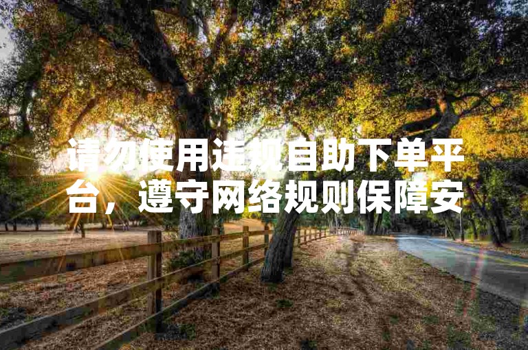 请勿使用违规自助下单平台，遵守网络规则保障安全。