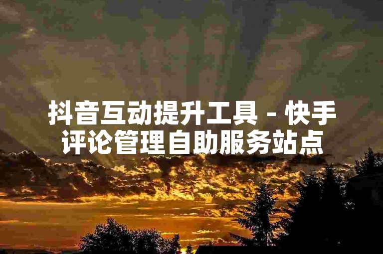 抖音互动提升工具 - 快手评论管理自助服务站点