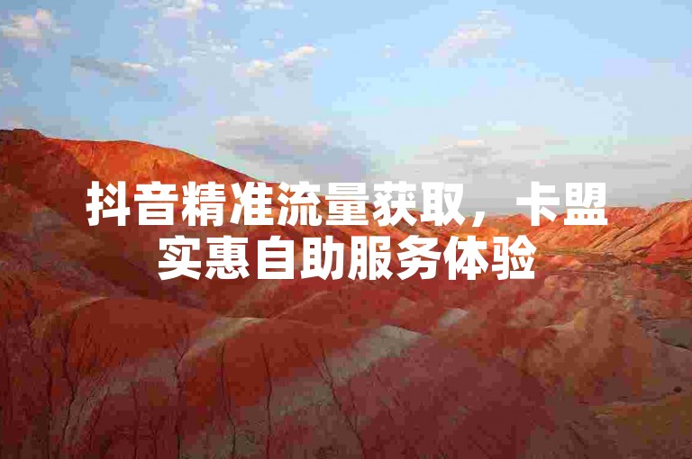 抖音精准流量获取，卡盟实惠自助服务体验
