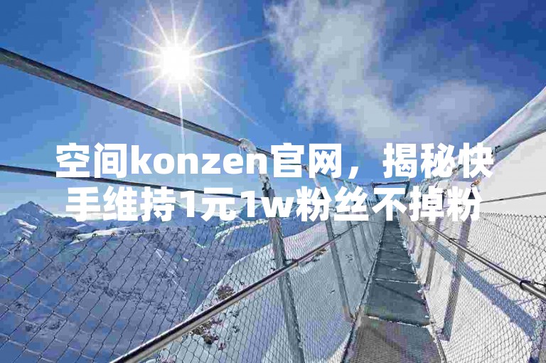 空间konzen官网，揭秘快手维持1元1w粉丝不掉粉的诀窍