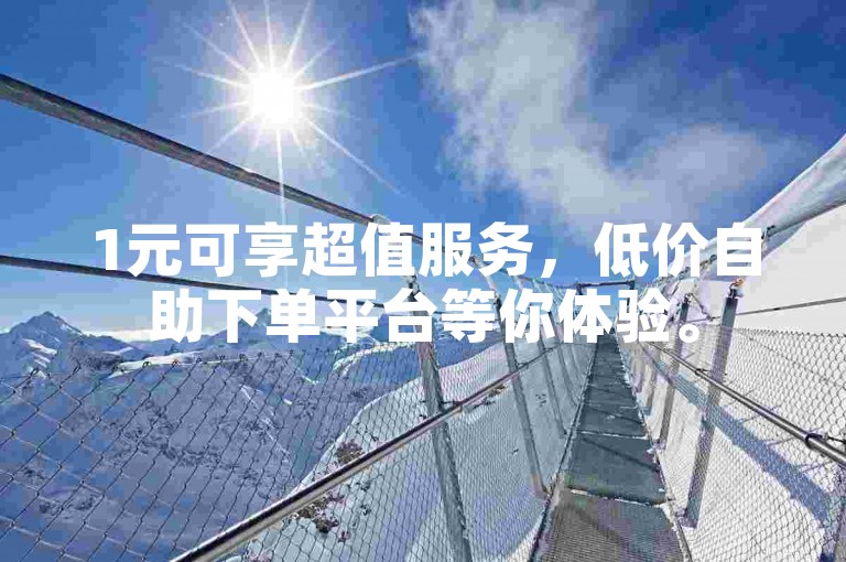 1元可享超值服务，低价自助下单平台等你体验。