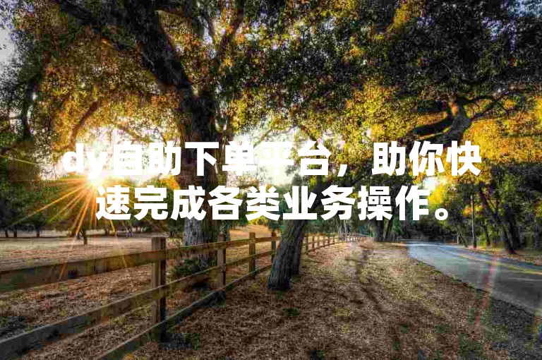 dy自助下单平台，助你快速完成各类业务操作。