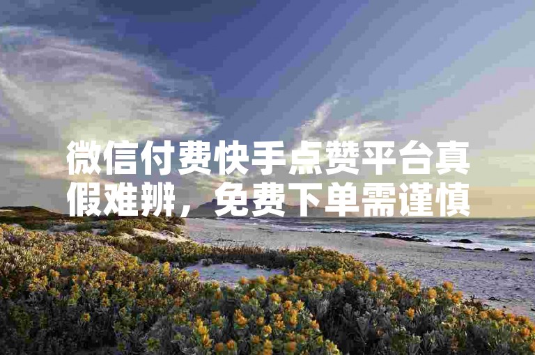 微信付费快手点赞平台真假难辨，免费下单需谨慎防骗。
