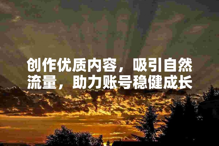 创作优质内容，吸引自然流量，助力账号稳健成长。