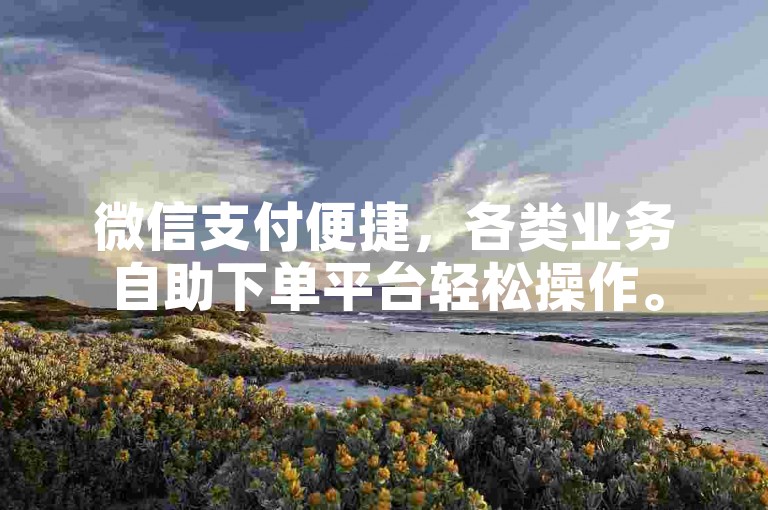微信支付便捷，各类业务自助下单平台轻松操作。