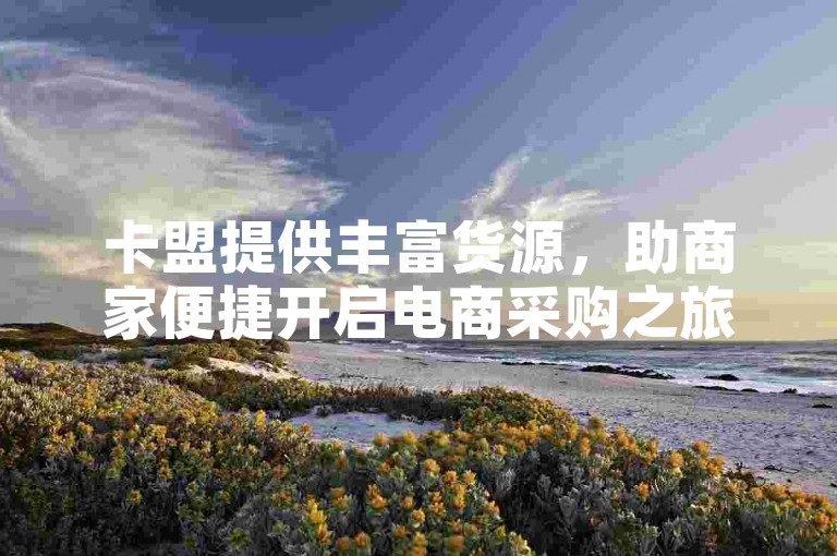 卡盟提供丰富货源，助商家便捷开启电商采购之旅。