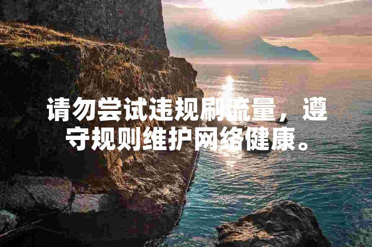 请勿尝试违规刷流量，遵守规则维护网络健康。