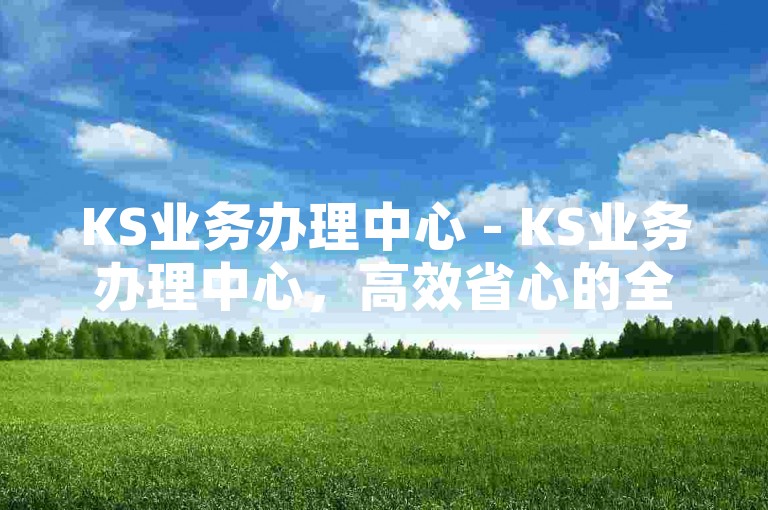 KS业务办理中心 - KS业务办理中心，高效省心的全能服务站！