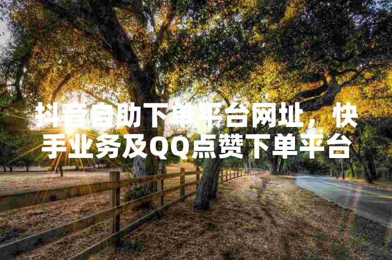 抖音自助下单平台网址，快手业务及QQ点赞下单平台介绍