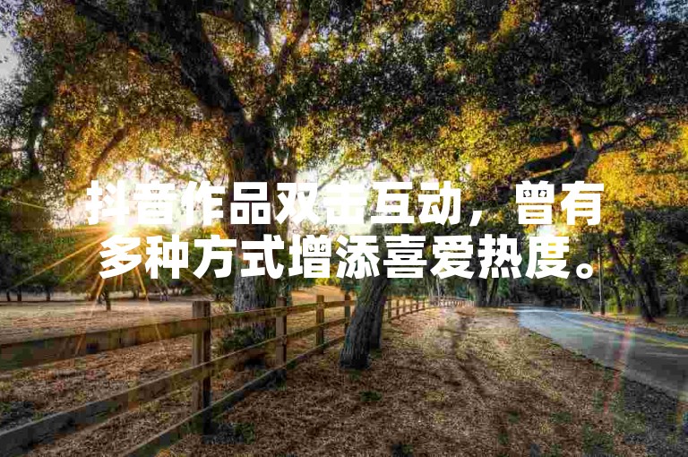 抖音作品双击互动，曾有多种方式增添喜爱热度。