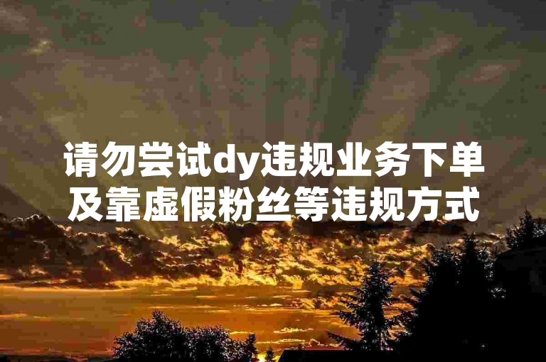 请勿尝试dy违规业务下单及靠虚假粉丝等违规方式赚钱。