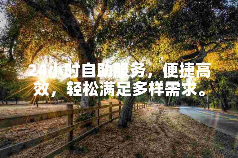 24小时自助服务，便捷高效，轻松满足多样需求。