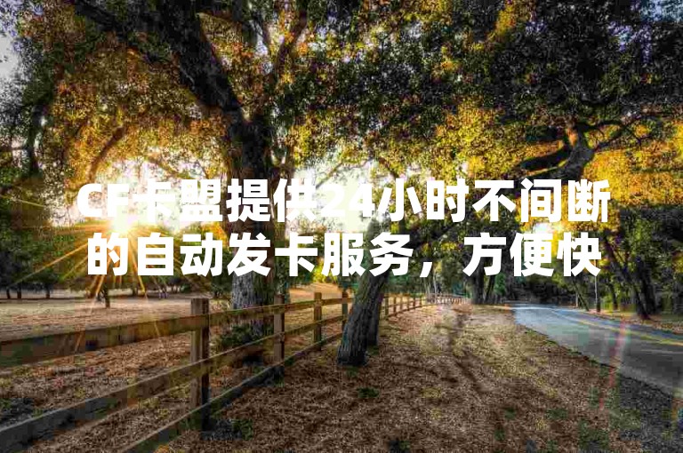 CF卡盟提供24小时不间断的自动发卡服务，方便快捷。
