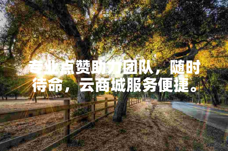 专业点赞助力团队，随时待命，云商城服务便捷。